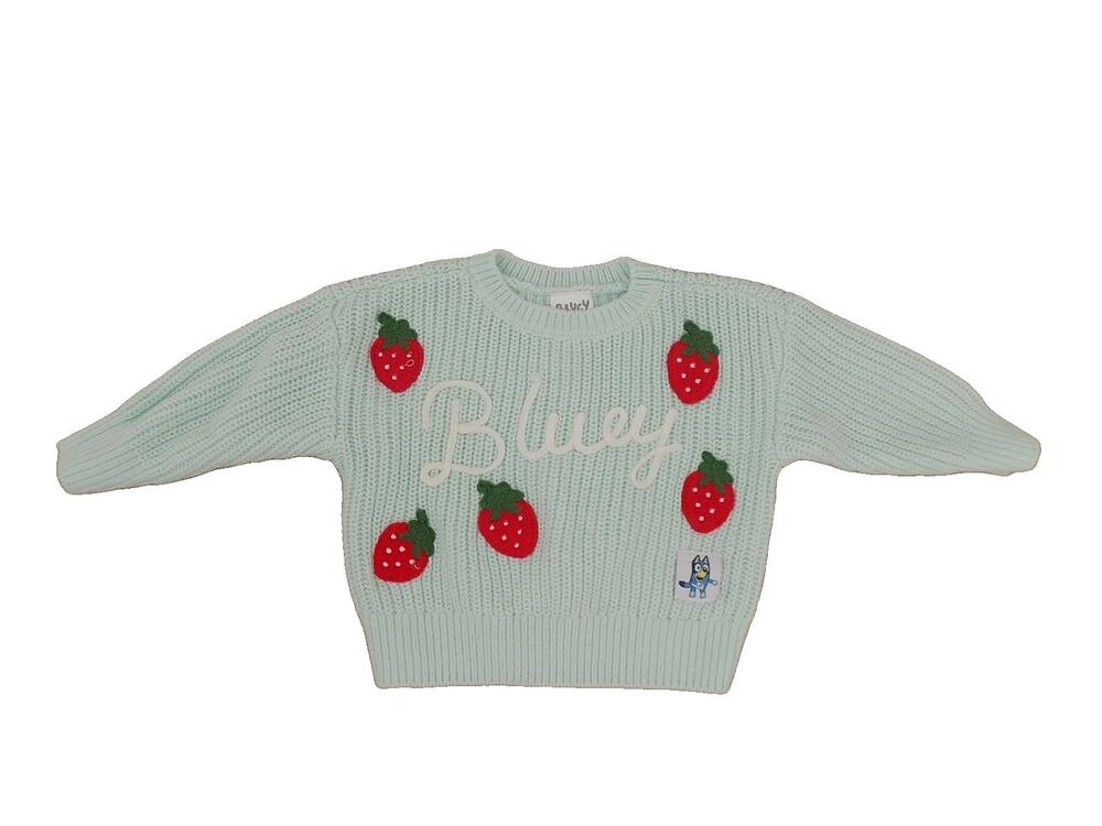 BLUEY toldder girls sweater mint green strawberry size 12 Months